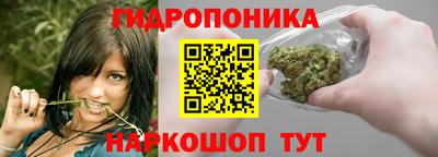 шишки Донецк