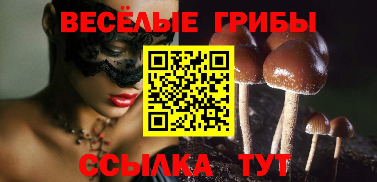Псилоцибиновые грибы MAGIC MUSHROOMS Владимир