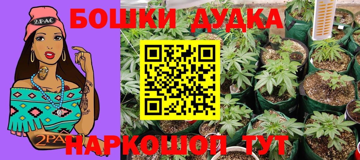 Шишки марихуана SATIVA & INDICA  Вход с VPN  Бошки Шишки MAZAR  Конопля ГИДРОПОН  Владимир 